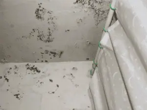 water damage restoration In Florida