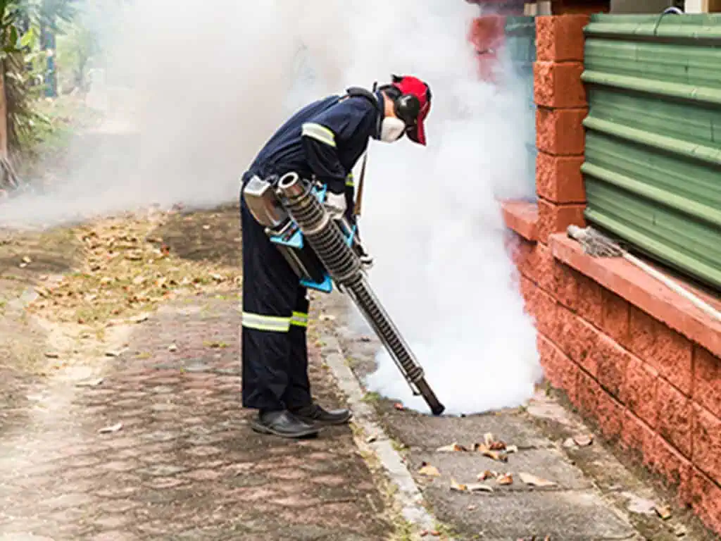 Thermal fogging services