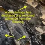 Mold inspection in florida and surroundings