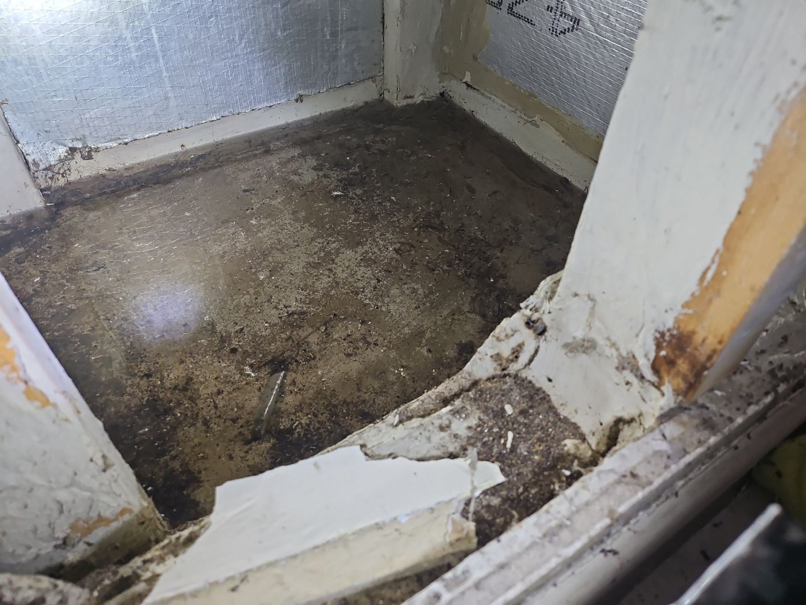 Exposed flooring condition documented during an Inspections & More moisture assessment