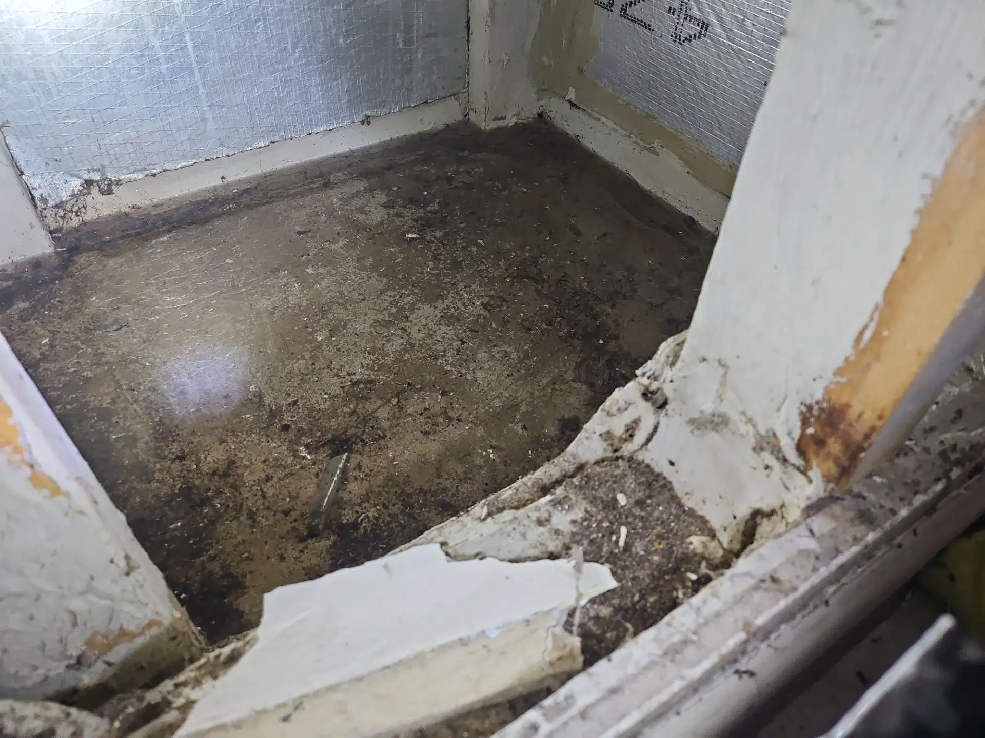 Exposed flooring condition documented during an Inspections & More moisture assessment