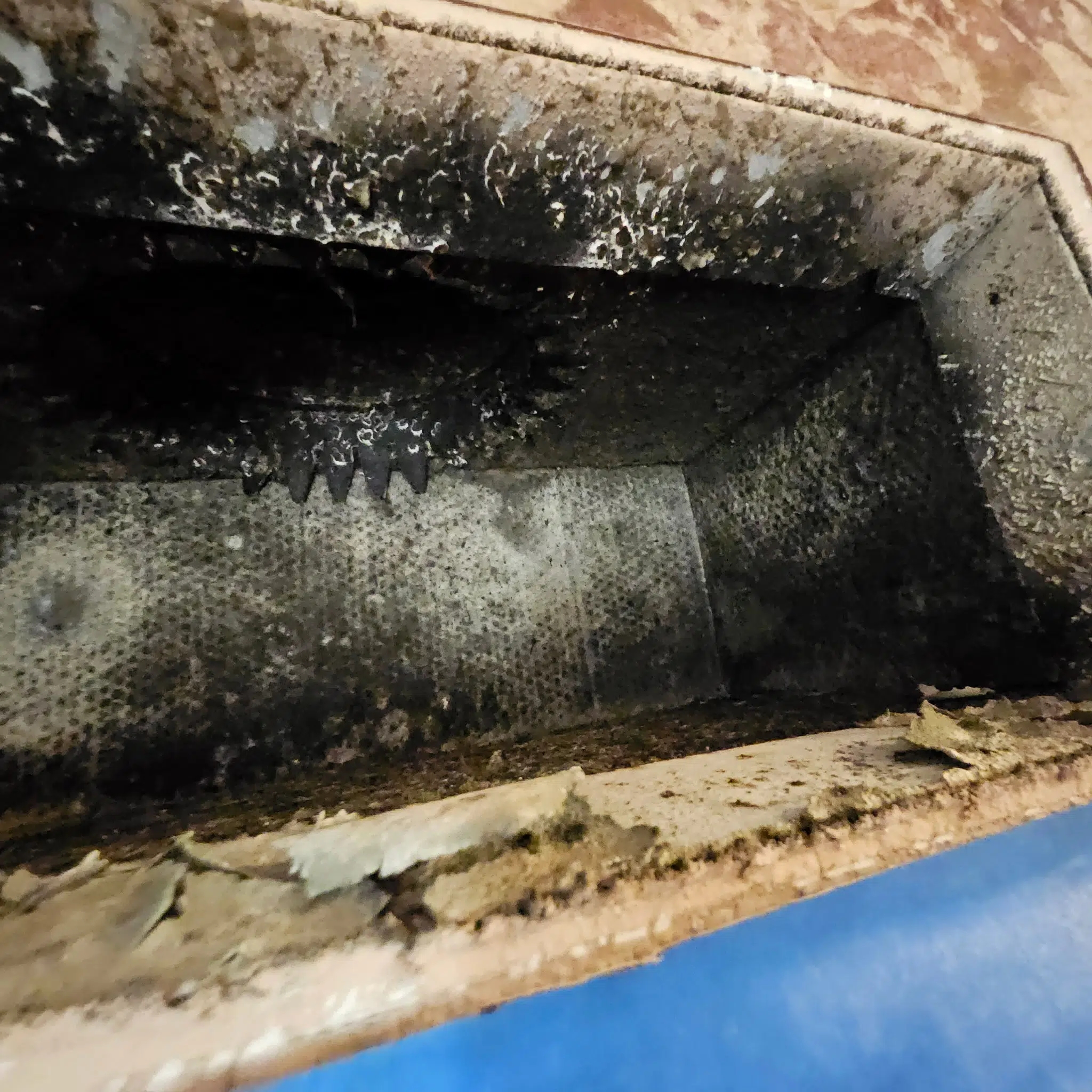 Concealed moisture-related condition documented during an Inspections & More investigation