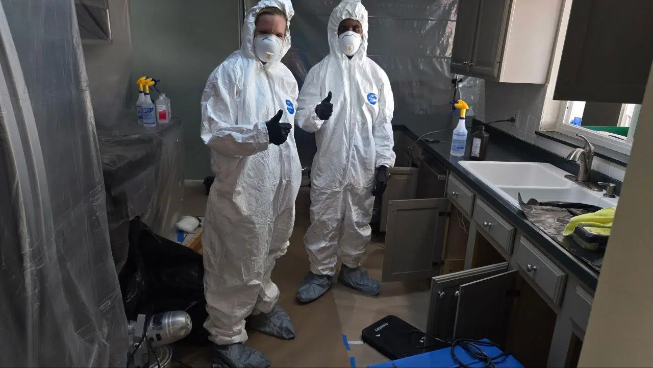 Inspections & More remediation team wearing protective equipment inside containment