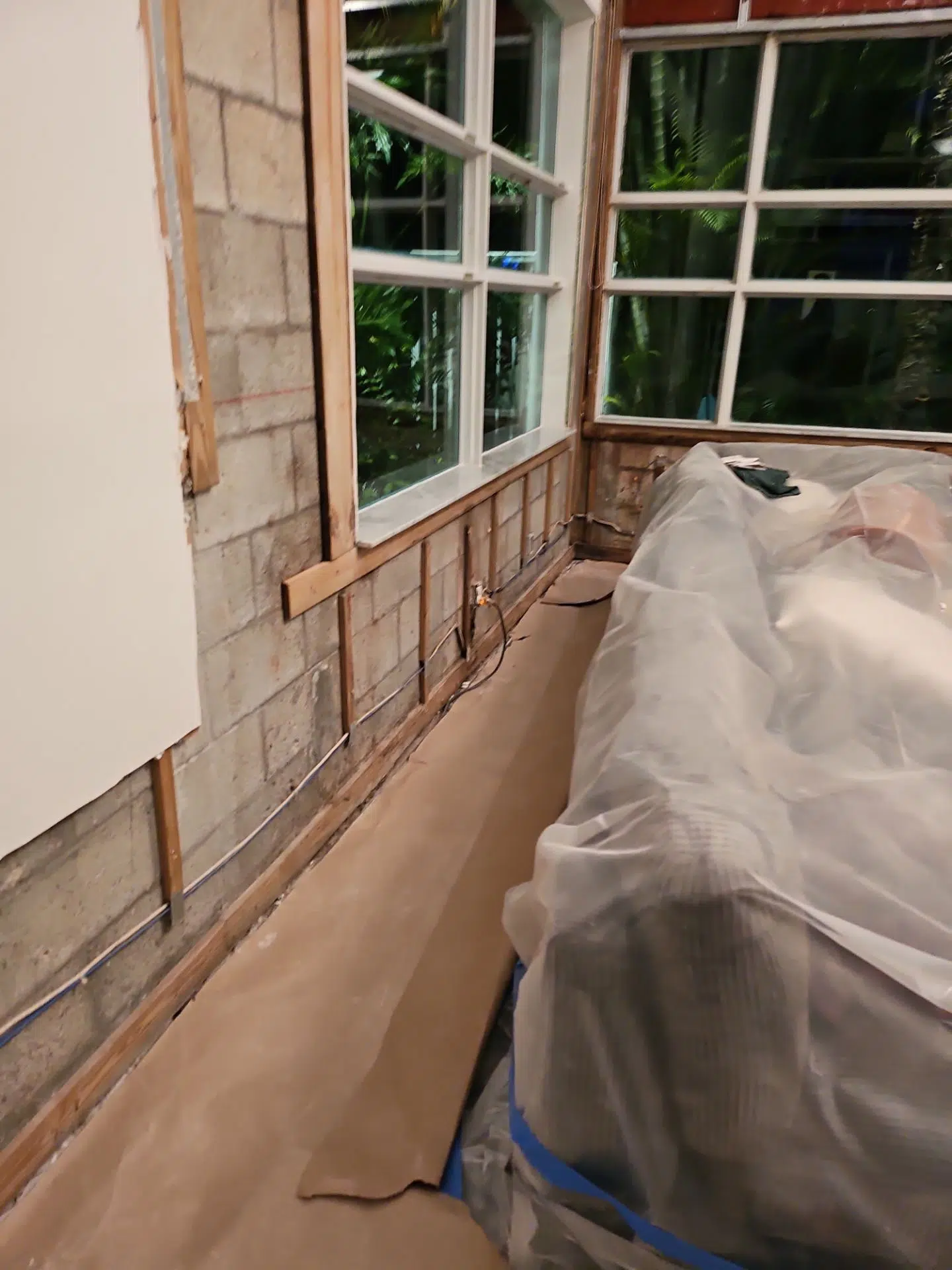 Wall finishes removed during a documented Inspections & More remediation project